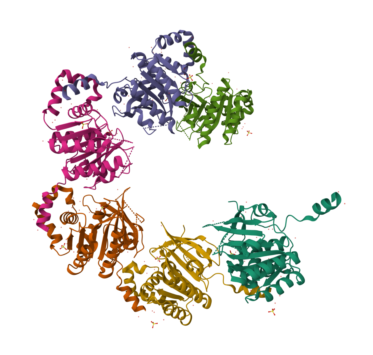 Helicase