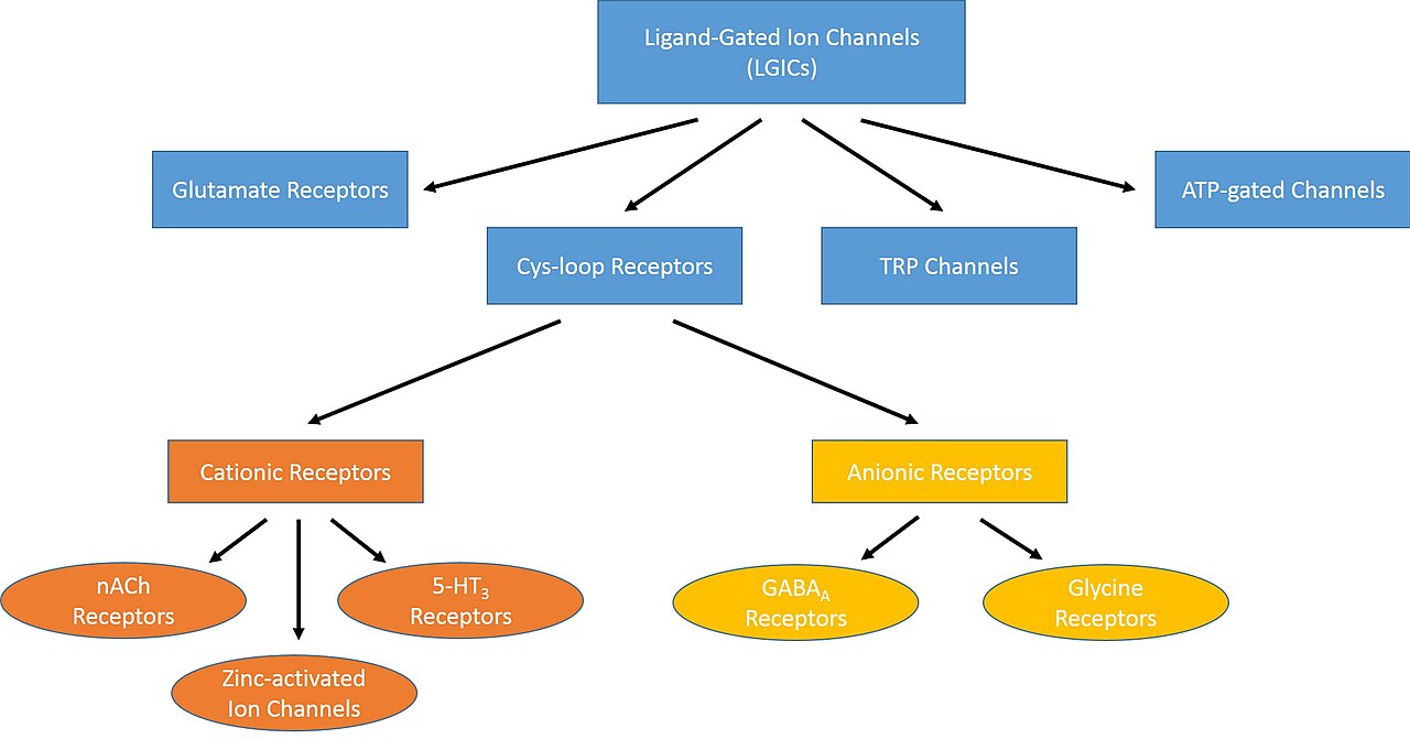 Ligand (biochemistry)