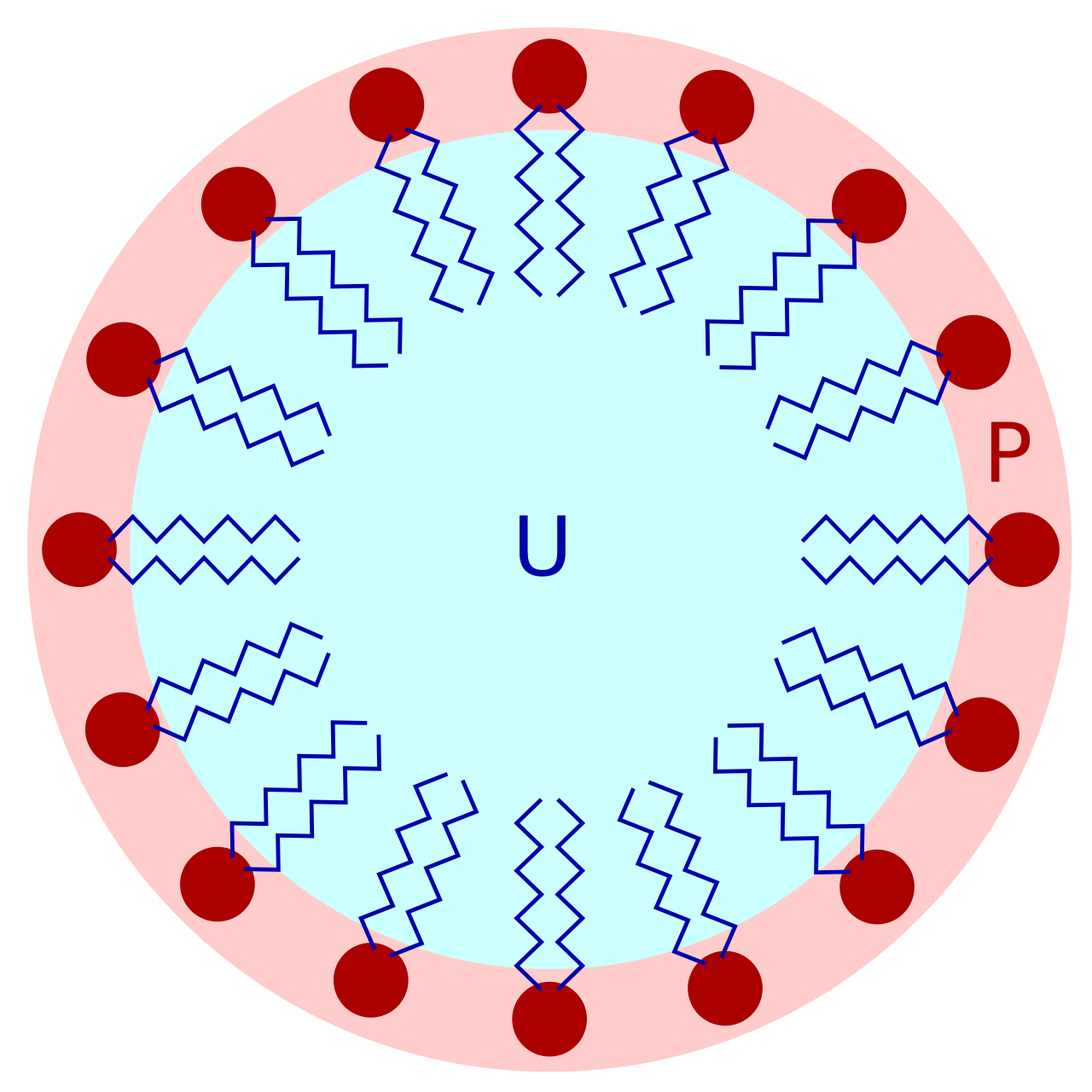 Lipid bilayer