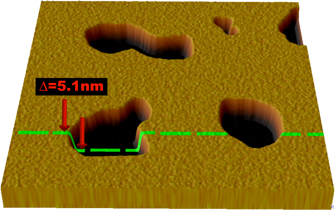 Lipid bilayer