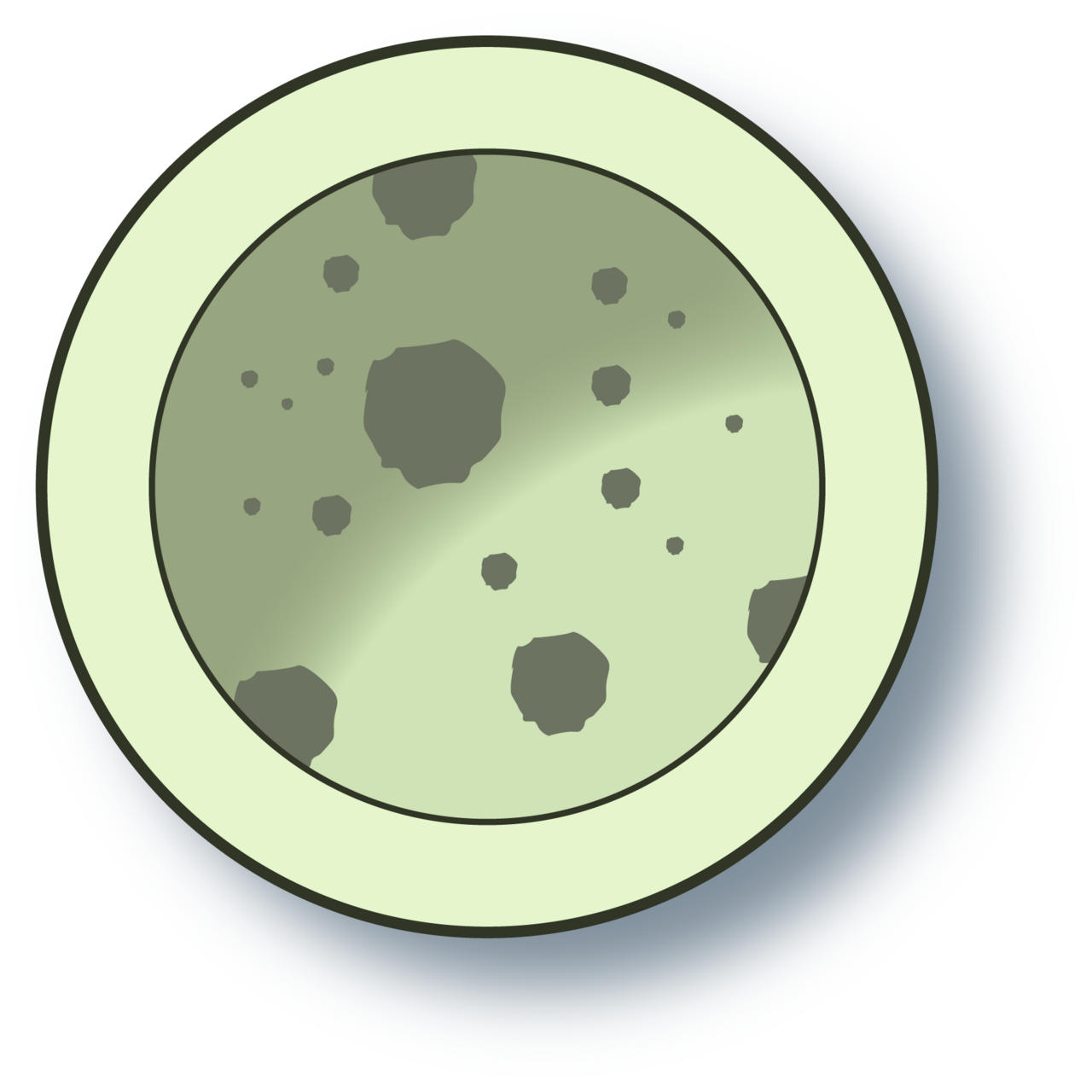 Lysosome