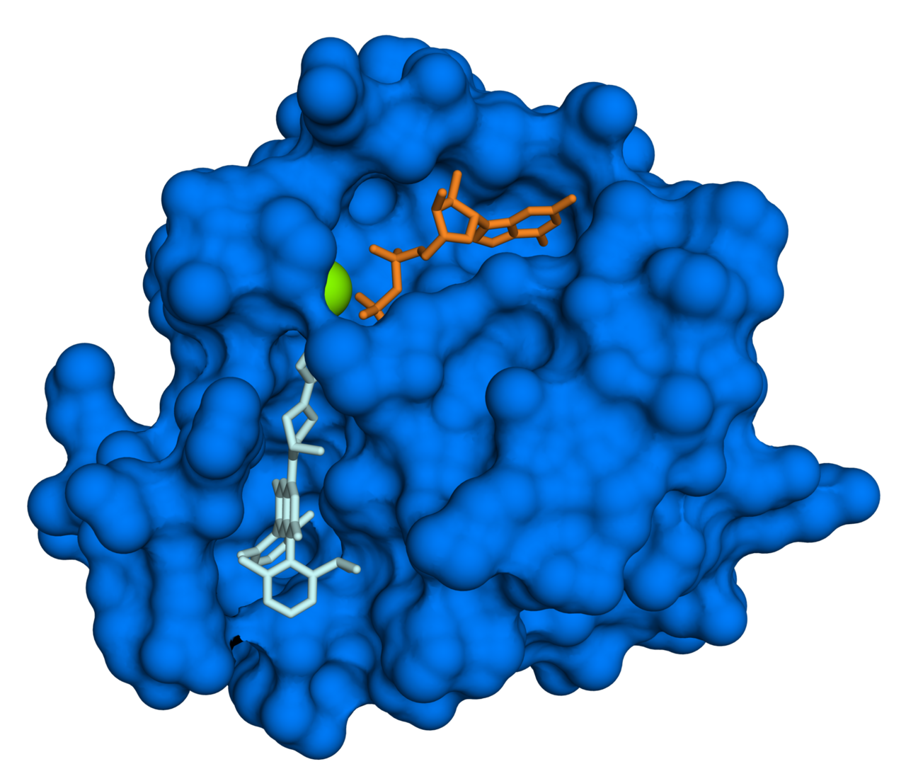 Protein targeting